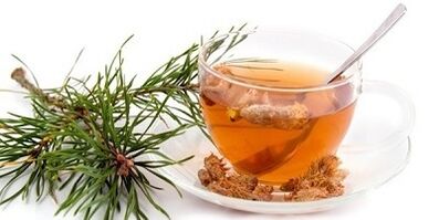 pine bud tincture for cervical osteochondrosis