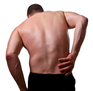 the disease of the back
